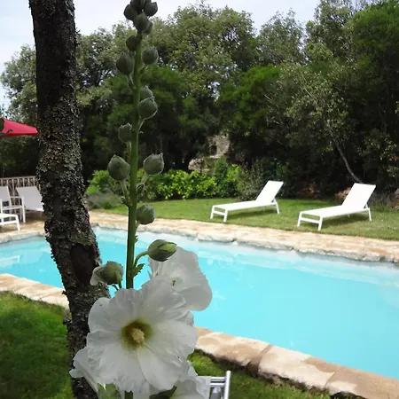 Mas Bouvier Ferienhaus *