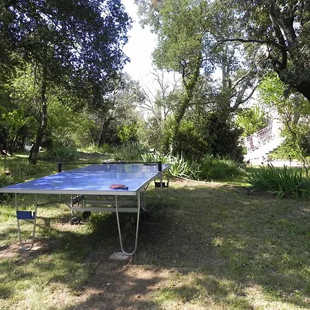 Mas Bouvier Notre-Dame-de-Londres