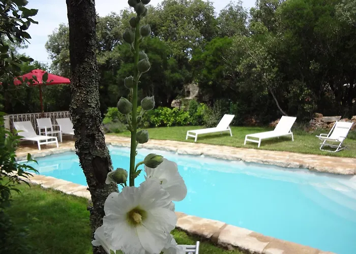 Mas Bouvier Ferienhaus *