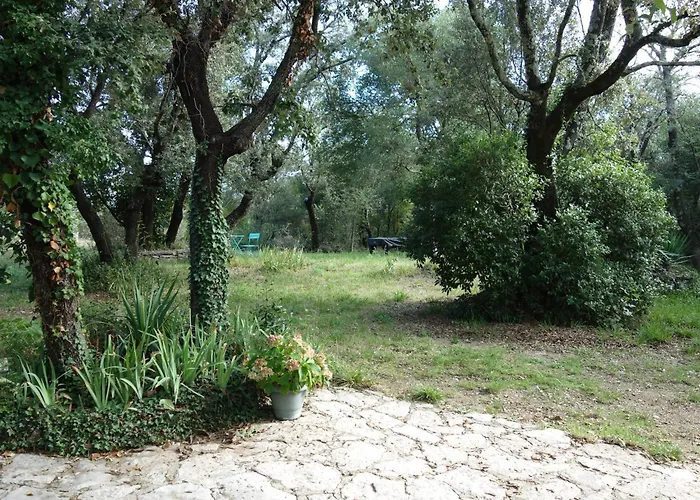 Ferienhaus Mas Bouvier